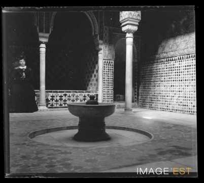 Fontaine de l'Alhambra (Grenade)